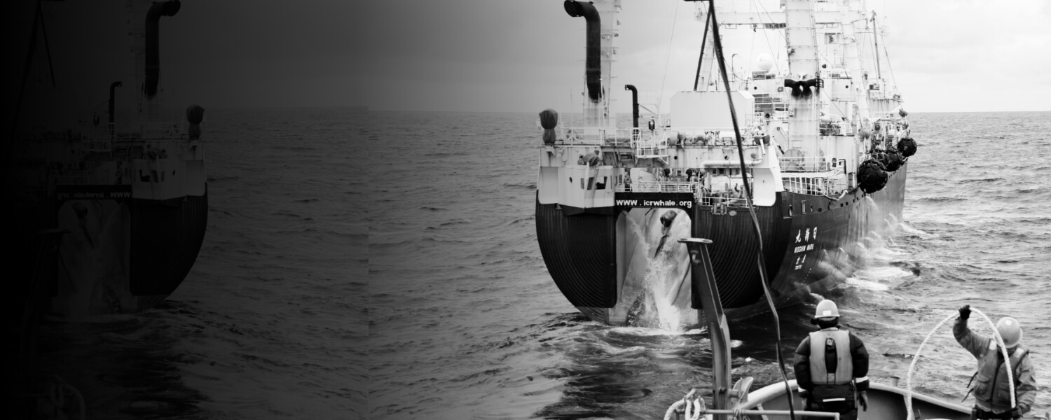 捕鯨母船「日新丸」 写真
